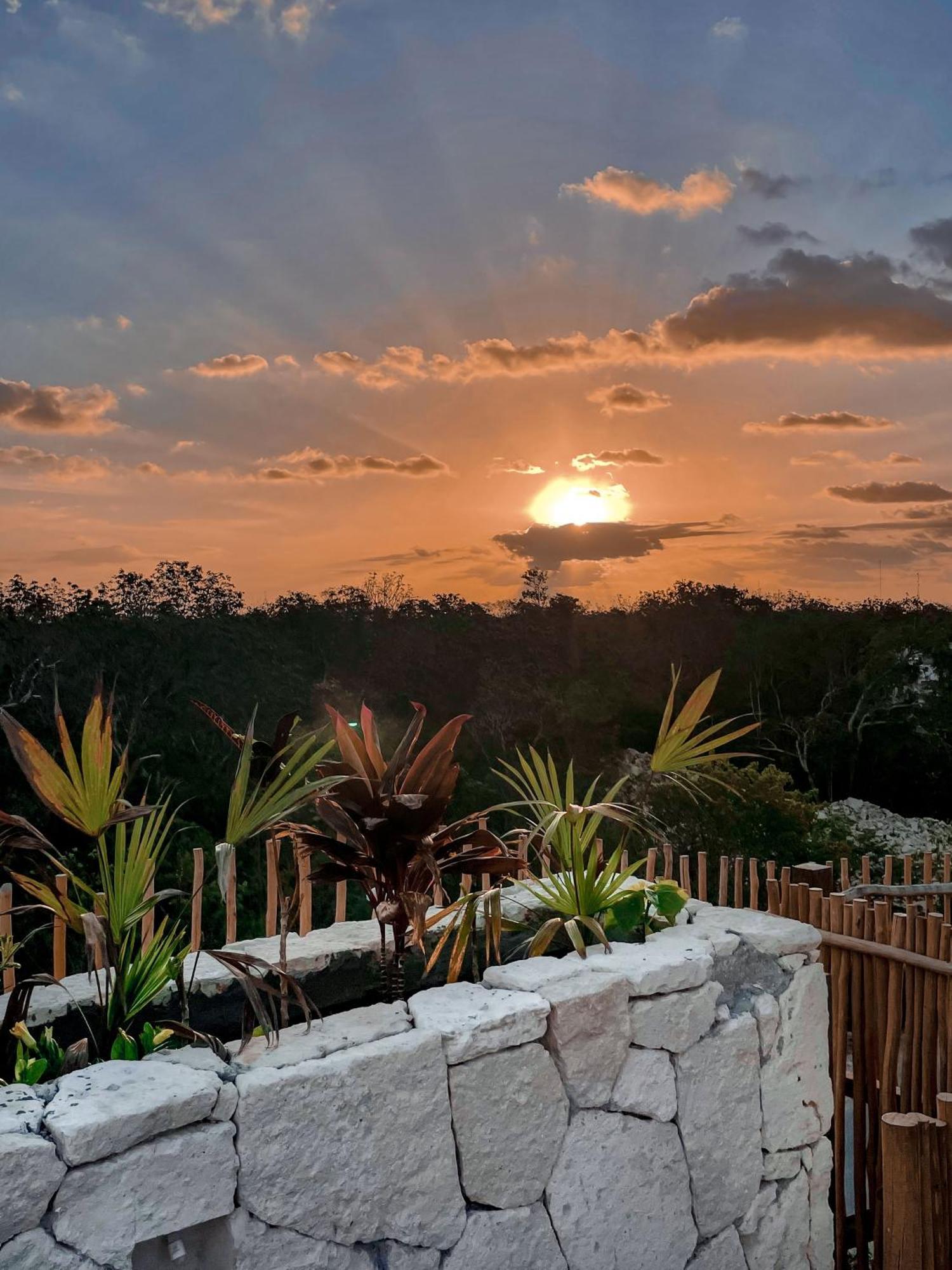Jungle Boho Designer Apart 11 W50 Off Access Hotel Bardo Τουλούμ Εξωτερικό φωτογραφία